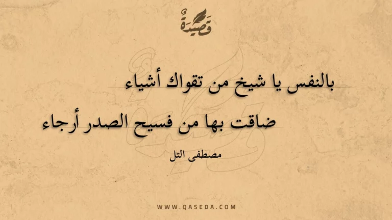 قصيدة بالنفس يا شيخ من تقواك أشياء