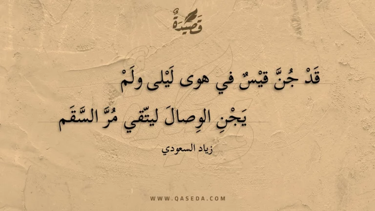 قصيدة برق تجلى من ثنيات الديم