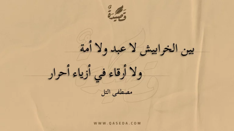 قصيدة بين الخرابيش لا عبد ولا أمة