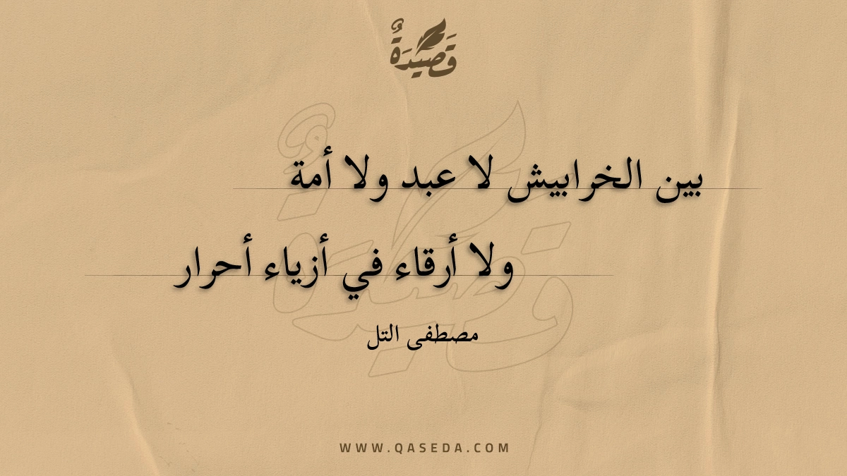 قصيدة بين الخرابيش لا عبد ولا أمة