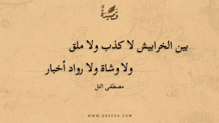 قصيدة بين الخرابيش لا كذب ولا ملق
