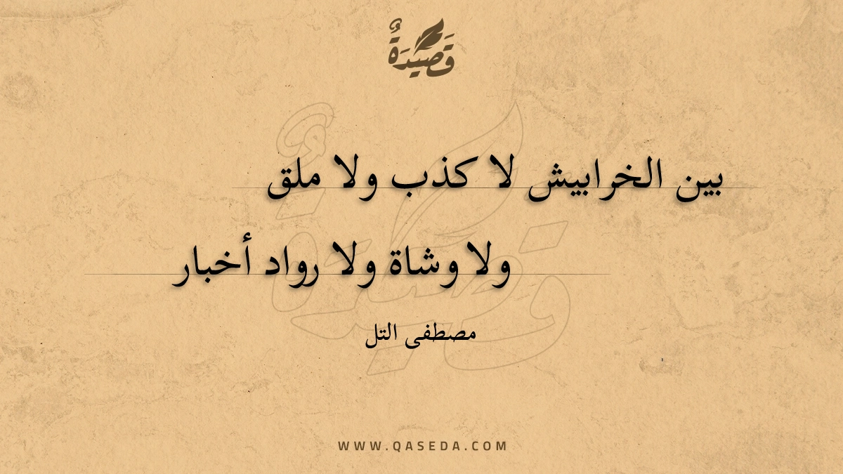 قصيدة بين الخرابيش لا كذب ولا ملق
