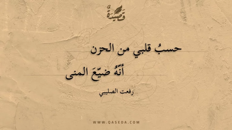 قصيدة حسب قلبي من الحزن