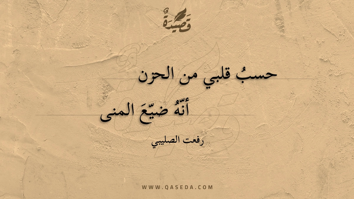 قصيدة حسب قلبي من الحزن