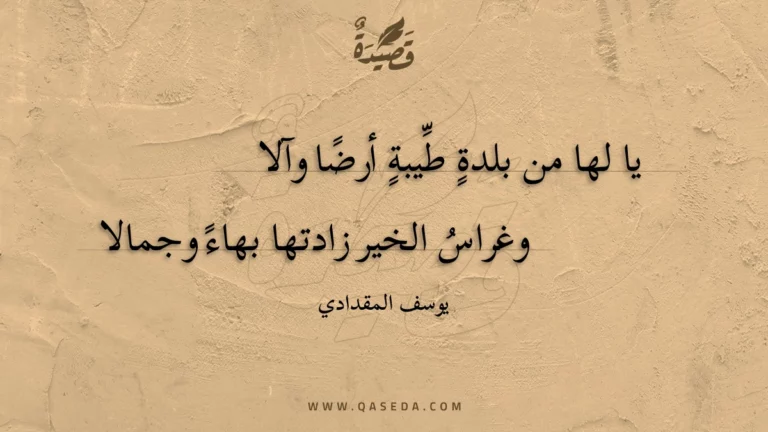 قصيدة رفيف النور