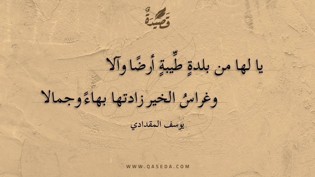 قصيدة رفيف النور