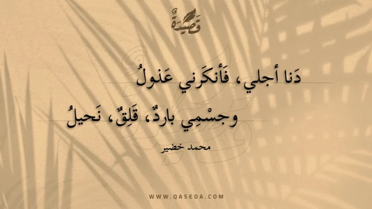 قصيدة سؤال الغيب.. من سيرة النبيّ محمد عليه السلام