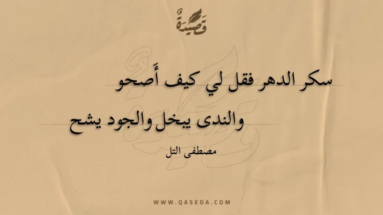 قصيدة سكر الدهر فقل لي كيف أَصحو