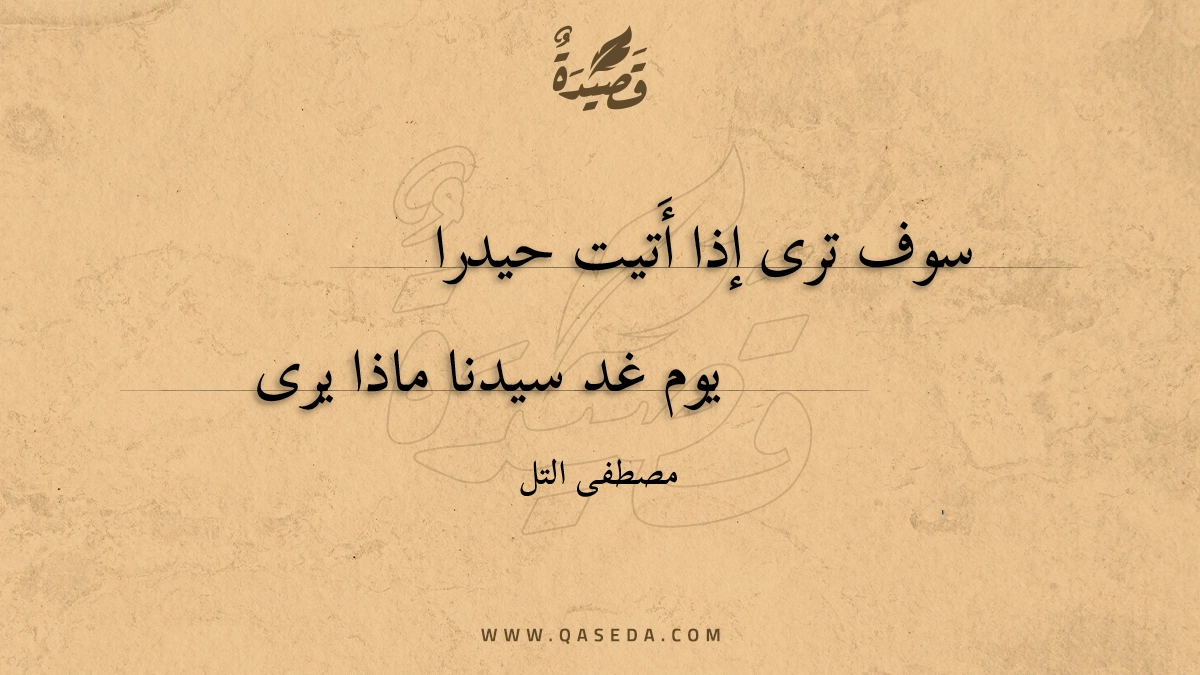 قصيدة سوف ترى إذا أَتيت حيدرا
