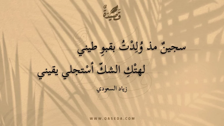 قصيدة عين سين