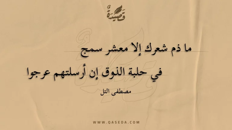 قصيدة ما ذم شعرك إلا معشر سمج