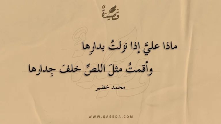 قصيدة ماذا عليَّ؟
