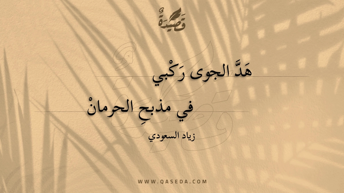 قصيدة هد الجوى ركبي
