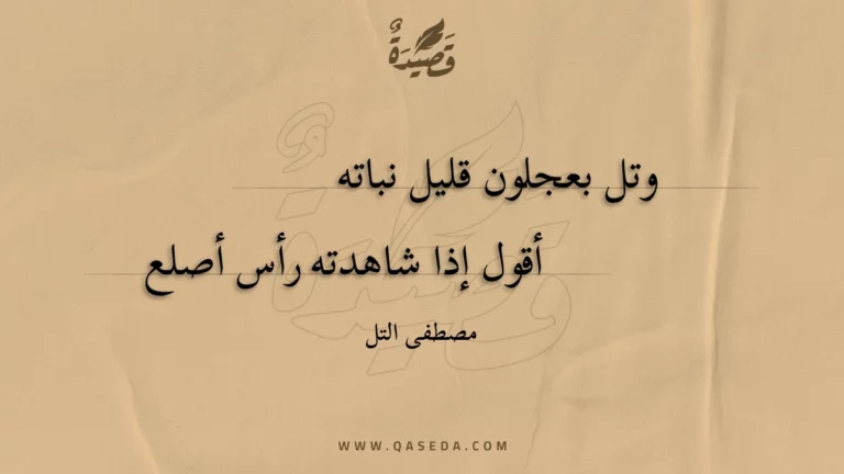 قصيدة وتل بعجلون قليل نباته