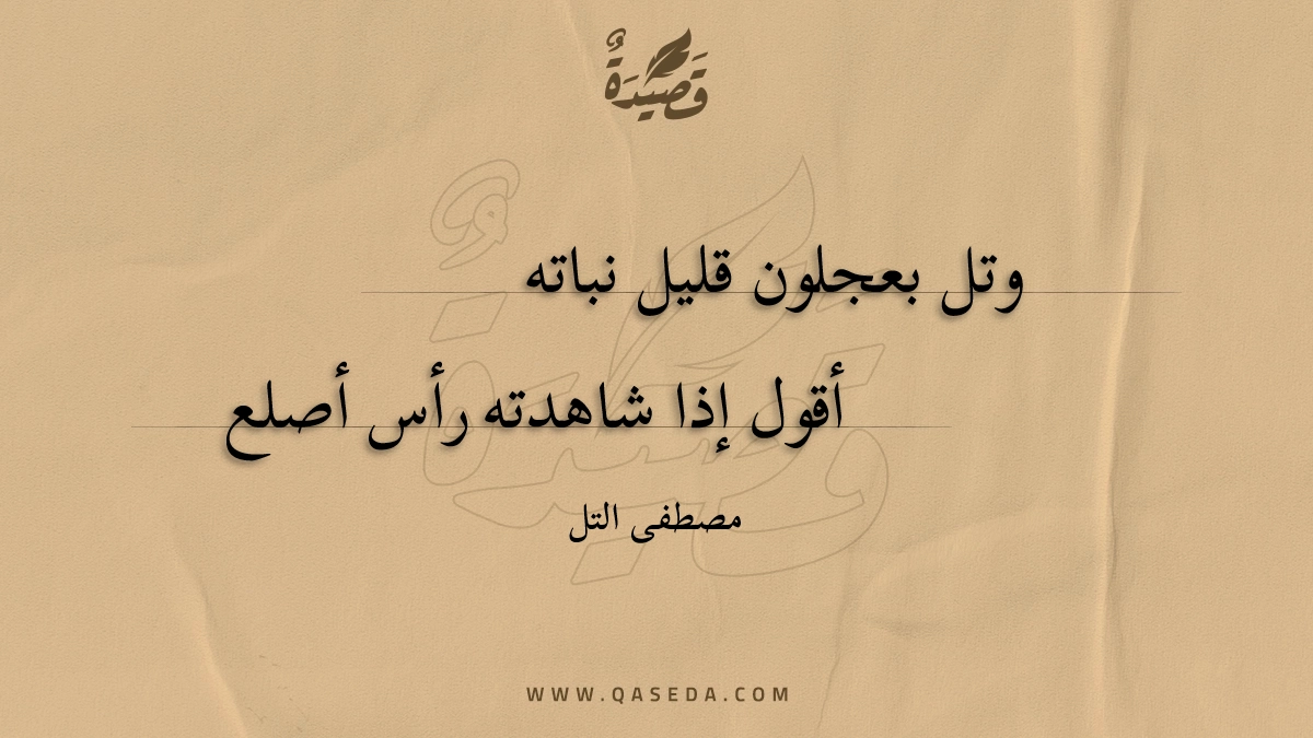 قصيدة وتل بعجلون قليل نباته