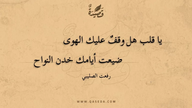 قصيدة يا قلب هل وقف عليك الهوى