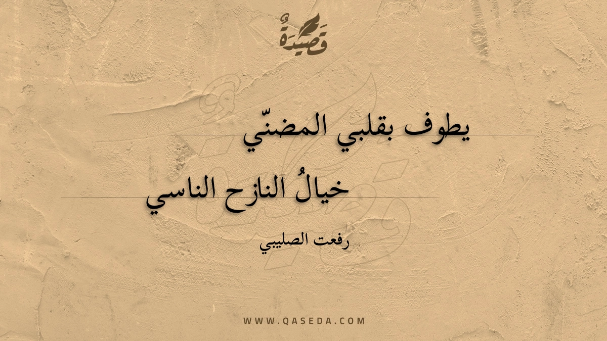 قصيدة يطوف بقلبي المضني