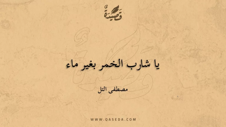 قصيدة يا شارب الخمر بغير ماء